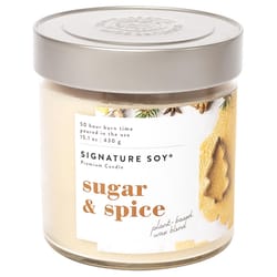 Signature Soy Signature Soy Cream Sugar and Spice Scent Candle Candle 15.1 oz