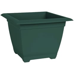 Bloem Dayton 11 in. H X 15 in. W X 15 in. D Resin Planter Box Turtle Green