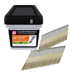 Grip-Rite 3-1/4 in. L X 12 Ga. Angled Strip Hot-Dip Galvanized Framing Nails 30 deg 1000 pk