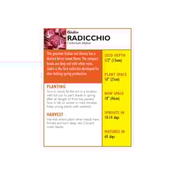 Lake Valley Seed Radicchio Seeds 5 pk