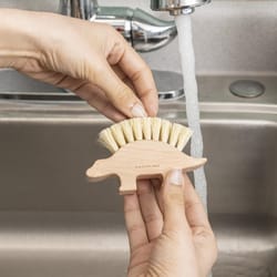 Kikkerland Natural Dino Nail And Hand Brush 1 pk