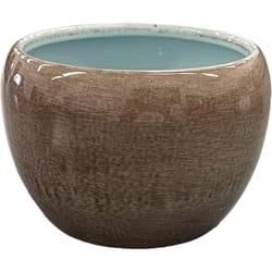 Robert Allen 5 in. D Steel Petite Braeburn Planter Spearmint