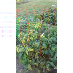 Panacea 46 in. H X 1 ft. W X 12 in. D Red Steel Tomato Cage