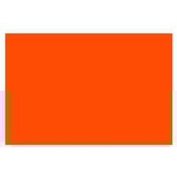 Bazic Products 20 in. W X 30 in. L Fluorescent Orange Foam Board