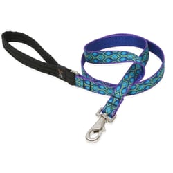 Lupine Pet Original Designs Multicolor Rain Song Nylon Dog Leash