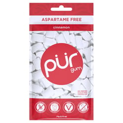 PUR Sugar Free Cinnamon Chewing Gum 1 pk 55 pc