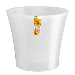 Santino Arte 6 in. D Plastic Planter Transparent