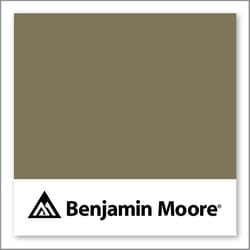Benjamin Moore Pine Grove 511
