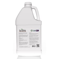 BioHemp Transparent Flat Clear Wood Protection 1 gal