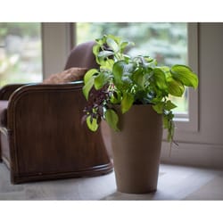 Algreen Products 18 in. H X 12 in. D Plastic Taper Spun Planter Taupe