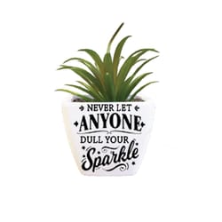 Sentiment Succulents 4 in. H X 2.25 in. L Multicolored Plastic Planter