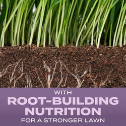 Scotts Turf Builder Perennial Ryegrass Sun or Shade Fertilizer/Seed/Soil Improver 5.6 lb