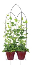 Panacea 72 in. H Black Steel Trellis