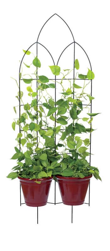 Panacea 48 in. H Black Steel Trellis