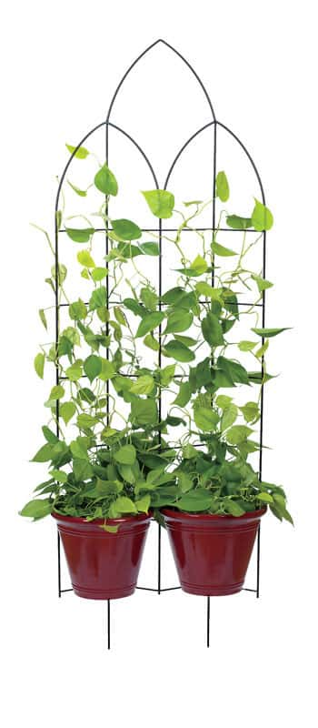 Panacea 72 in. H Black Steel Trellis - Ace Hardware