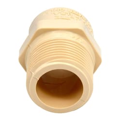 Charlotte Pipe FlowGuard 3/4 in. MPT X 3/4 in. D Slip CPVC Male Adapter 10 pk