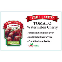 Chef Jeff Red Standard Watermelon Cherry Tomato Vegetable Plant