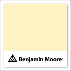 Benjamin Moore Moonlight 2020-60