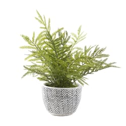 DW Silks 14 in. H X 15 in. W X 15 in. D Ceramic Mini Fern Faux Plant White