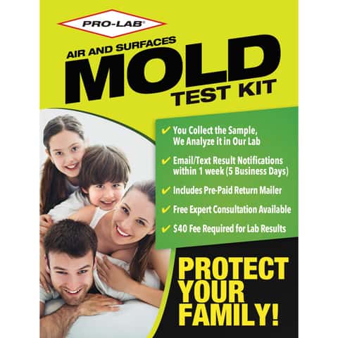 Pro-Lab Mold Test Kit 1 pk Pro-Lab Mold Test Kit 1 pk