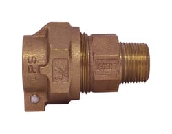 Legend 3/4 in. IPS 3/4 in. D MNPT Bronze Coupling