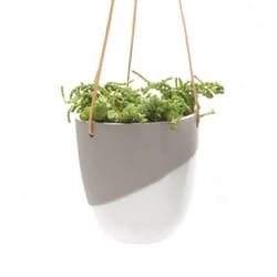 Chive Bobbin 5 in. D Porcelain Hanging Planter Light Grey