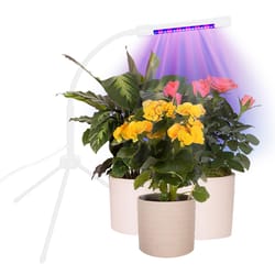 Wicked Waterer Hydroponic Grow Light 7 W LED