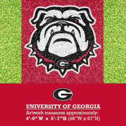 U-Stencil Bulldog UGA Lawn Stencil