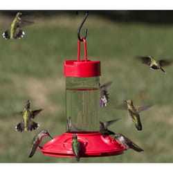 Songbird Essentials Songbird Essentials Hummingbird 16 oz Glass/Plastic Suet Feeder Nectar Feeder 4