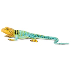 Safari Ltd. Incredible Creatures Collared Lizard Toy Multicolored