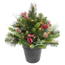 Celebrations 1-1/2 ft. Full LED 35 ct Icy Mixed Pine Urn Filler Porch Bush