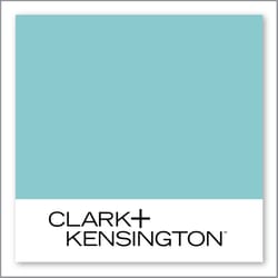 Clark+Kensington Fun Times 32C-4