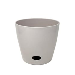 Bamboo Blooms 6.5 in. H X 7 in. D Natural Fiber Flower Pot Cream