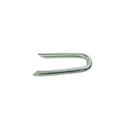 Grip-Rite 1/4 in. W X 3/4 in. L Electro-Galvanized Steel Poultry Netting Staples 14 Ga. 1 lb