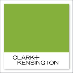 Clark+Kensington Sweet Basil 26D-5