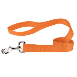 Boss Pet Casual Canine Orange Nylon Dog Leash Small