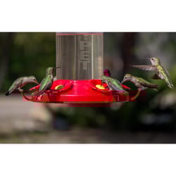 Perky-Pet Hummingbird 48 oz Glass/Plastic Nectar Bird Feeder 6 ports