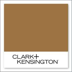 Clark+Kensington Nutshell 20A-5