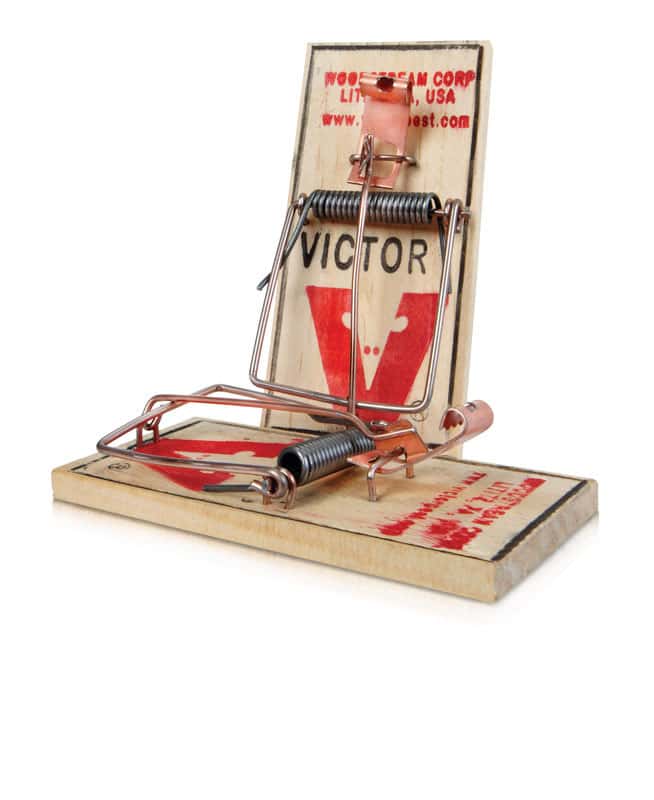 Victor Snap Trap For Mice 2 pk - Total Qty: 36; Each Pack Qty: 2; Total  Items Rec: 72, Case of: 36 - Kroger