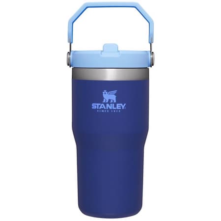 Stanley The IceFlow 20 oz Double-wall vacuum insulation Lapis BPA Free  Insulated Straw Tumbler - Ace Hardware
