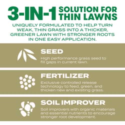 Scotts Turf Builder Tall Fescue Grass Sun or Shade Fertilizer/Seed/Soil Improver 12 lb