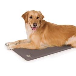 K&H Pet Prodcuts Lectro-Kennel Gray Fleece Heated Pet Bed 22.5 in. W X 28.5 in. L