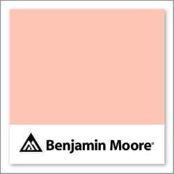 Benjamin Moore Salmon Peach 2013-50