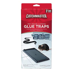 Catchmaster Glue Animal Trap For Mouse/Rat/Snake 2 pk