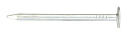Ace 1-3/4 in. Roofing Electro-Galvanized Steel Nail Large Head 1 lb