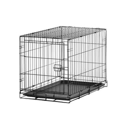 Carlson Small Metal Dog Crate Black 19 in. H X 18 in. W X 24 in. D