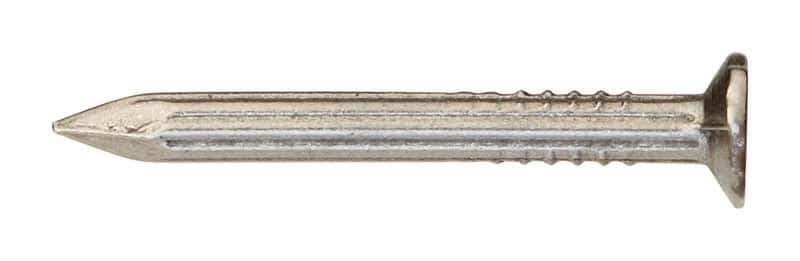 Ace 8D 2-1/2 in. Masonry Bright Steel Nail Flat Head 1 lb