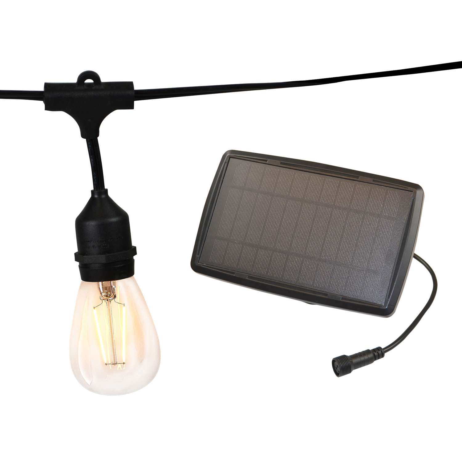 Living Accents LED Vintage Light Set Warm White 20 ft. 10 lights Ace