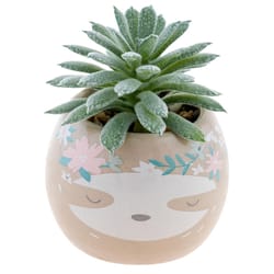 Karma 2 in. H X 2 in. W X 2 in. L Multicolored Ceramic Succulent Pot