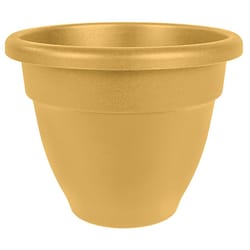 HC Companies Caribbean 4.86 in. H X 6 in. D Plastic Planter Clay